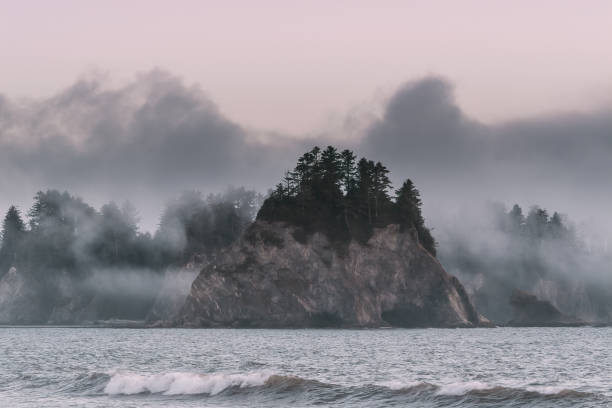 istock Rialto Beach, Olympic Peninsula, Washington State 1346565312