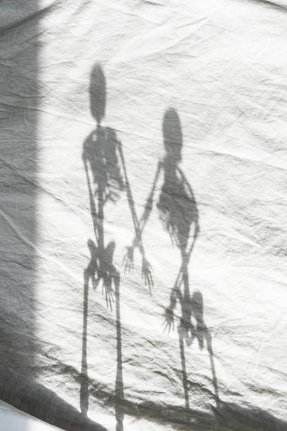 istock Skeleton shadow on light background. Creative minimalist Halloween or Day of the Dead concept. 1346566342