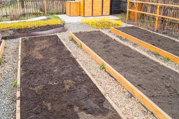 istock Newly built raised vegetable beds, empty beds with prepared soil in the garden in spring 1346566406