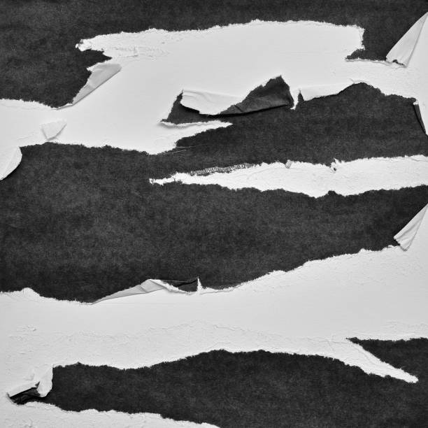 istock Black and White Torn Paper Collage Style, Ripped Paper Effect, Texture Abstract Background, Copy Space for Text. 1346566595