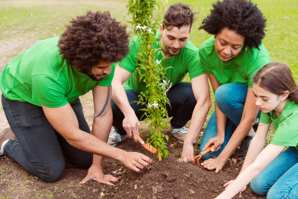 istock Multiracial volunteers planting in public park 1346569061