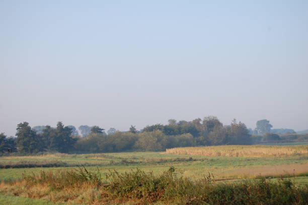 istock A sunny and hazy day over a meadow. 1346570309