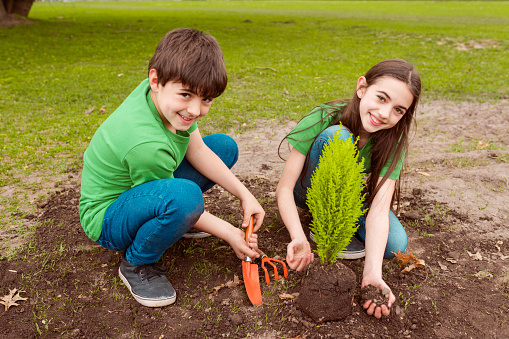Portrait of smiling brother and sister planting together in park. Boy is digging with trowel. They are wearing green t-shirts.