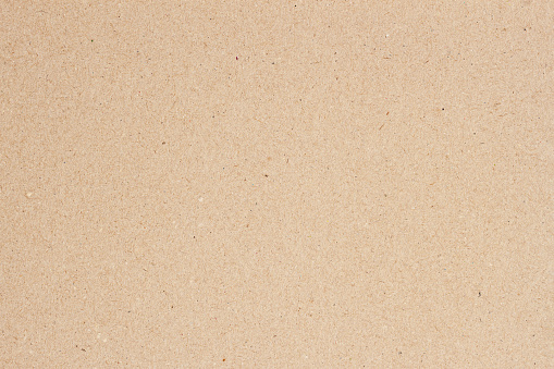 Natural paper texture, cardboard background close-up, villi, fluff inclusions, copy space