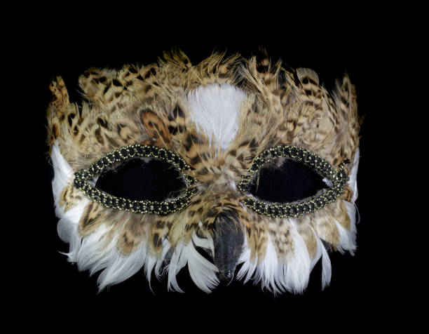 Brown Owl Mask Isolated Against Black Background