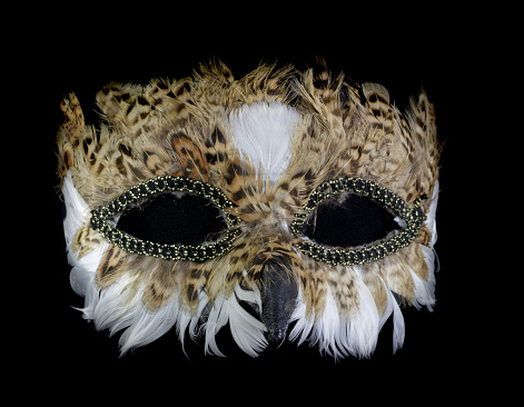Brown Owl Mask Isolated Against Black Background
