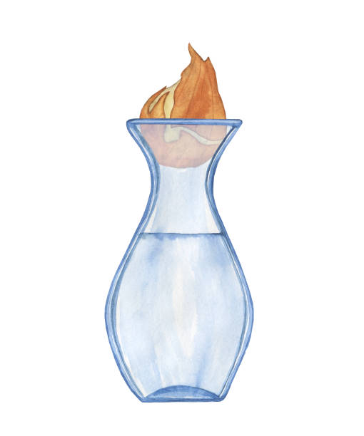 tulpenzwiebel in vase auf weißem hintergrund isoliert. aquarell handzeichnung illustration. anbau zwiebelblume. - tulpenzwiebel stock-grafiken, -clipart, -cartoons und -symbole