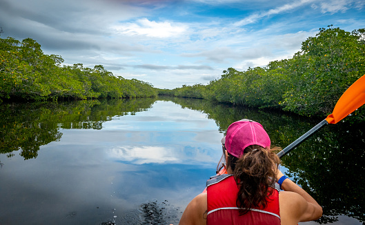 A woman paddling a Kayak along natural mangrove wilderness near the John Pennekamp Coral Reef State Park and Key Largo, Florida.