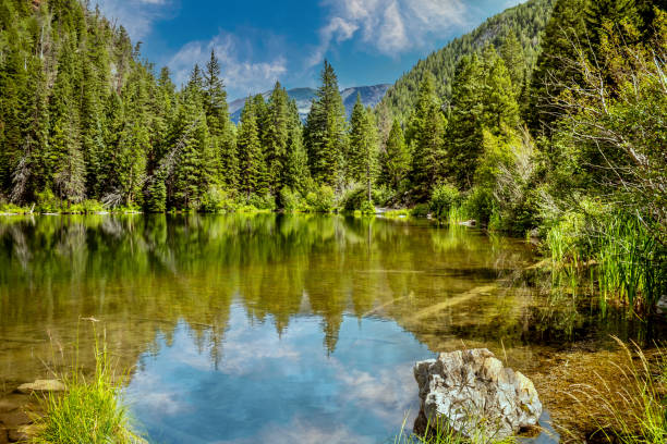 istock Mountain range and pine trees reflecting on a mountain lake. 1346574615