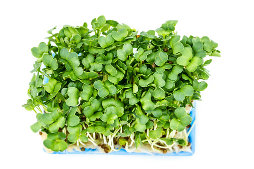 Watercress isolated on white background top view