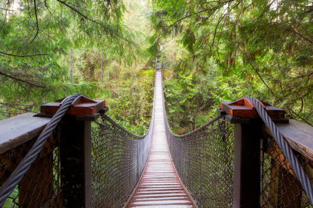 Lynn Canyon Suspension Bridge in Vancouver British Columbia Canada stock photo