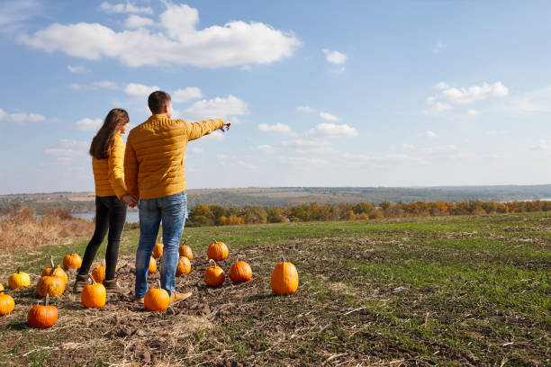 istock Young couple enjoying sunset in pumpkin patch field 1346575082