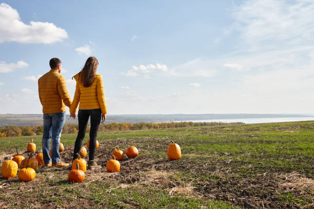 istock Young couple enjoying sunset in pumpkin patch field 1346575243