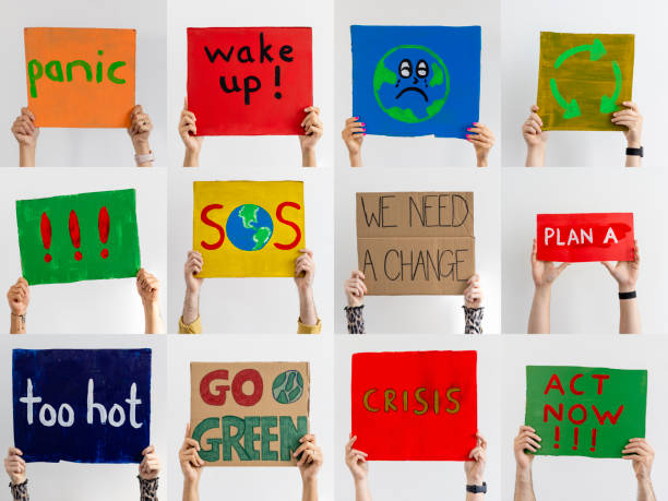 We Need to Look After the World An image montage of unrecognizable activists holding up homemade placards with different climate change messages on them. environmentalist photos stock pictures, royalty-free photos & images