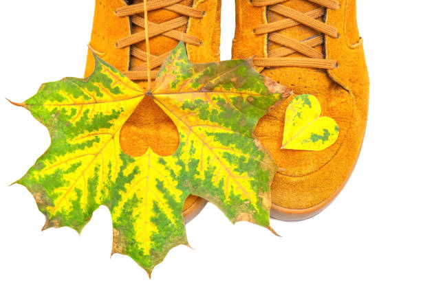 Maple leaf with a cut out heart lies on orange sneakers isolated on white