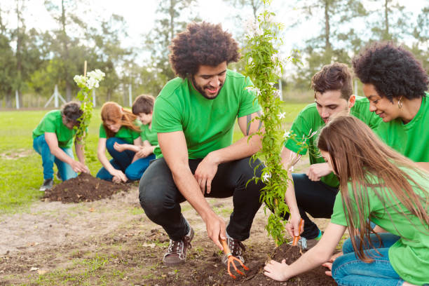 Volunteers planting together in public park Male and female volunteers planting together in public park. Men and women with children are volunteering for environmental cleanup. They are in green t-shirts. garden fork stock pictures, royalty-free photos & images