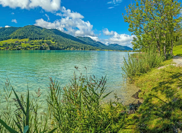 istock Panoramic view over turquoise lake Weissensee in Austrian province Carinthia during daytime 1346580305