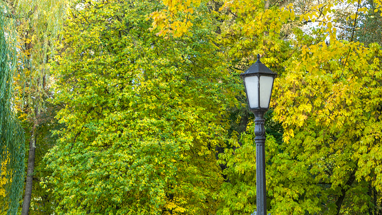 Lantern against autumn yellow trees. Street lamp in the autumn park. Beautiful Autumn Landscape With Old Fashion Lamp. Autumn nature.