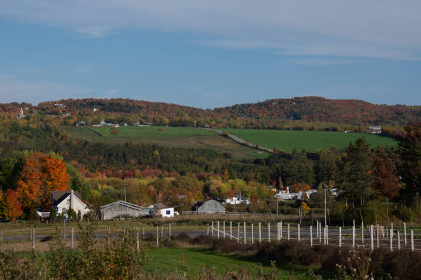 istock Fall colors in the Canadian countryside 1346584613