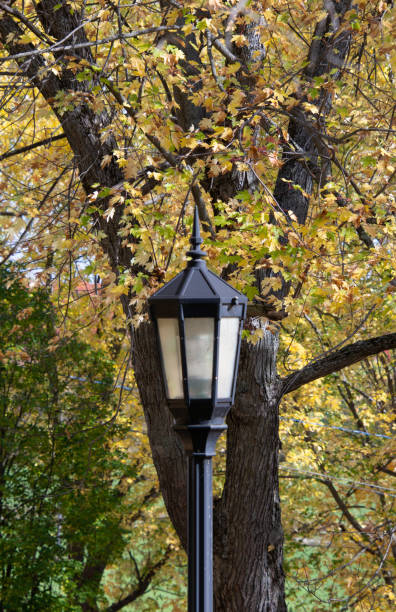 istock Fall colors in the Canadian countryside 1346584663