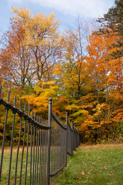 istock Fall colors in the Canadian countryside 1346584702