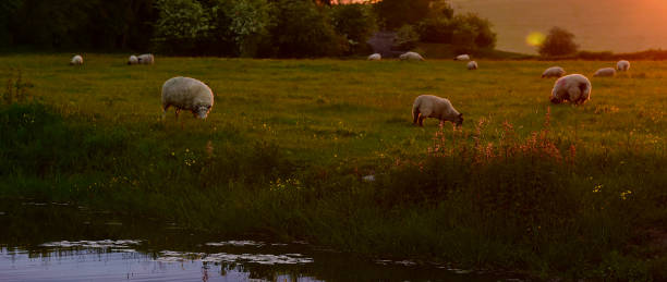 istock English Countryside 1346584958
