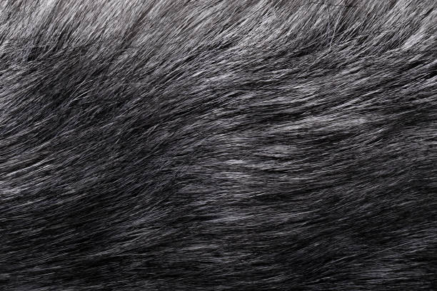 istock black and gray faux fur background 1346585003