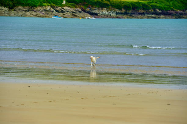 Cornwall coastline in Southwest England