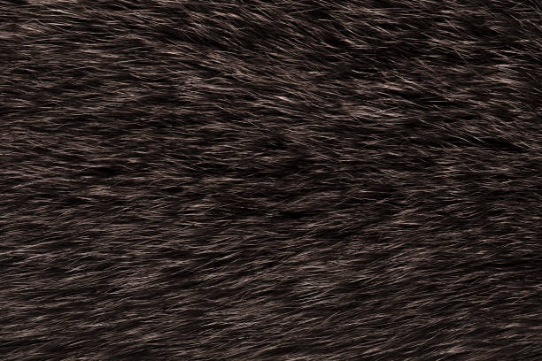 istock natural animal fur dark brown background 1346586361