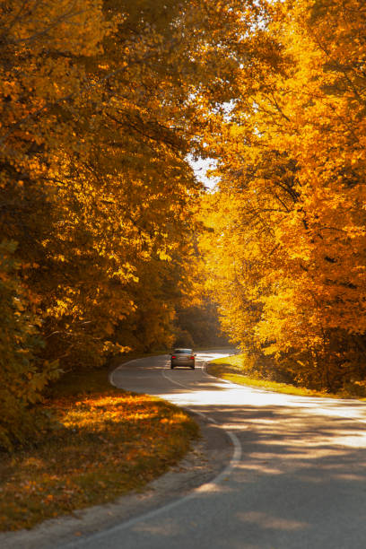 화려한 가을 숲 안에 자동차와 구불 구불 한 루알 도로 - autumn driving car road 뉴스 사진 이미지