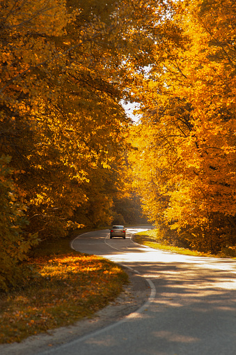winding rual road with car inside colorful autumn forest