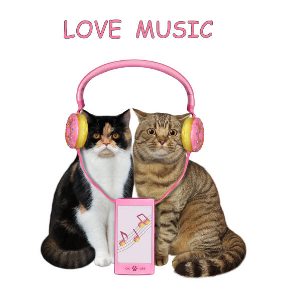 istock Cats in love wearing earphones 1346590572