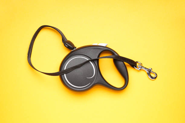 istock Black retractable dog leash on a yellow background, flat lay. 1346591634