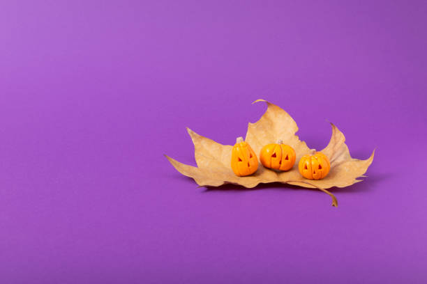 istock Three small pumpkins on an autumn leaf on a pastel purple background. Minimalistic Halloween concept. Creative idea. 1346591692