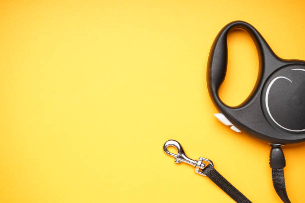 istock Black retractable dog leash on a yellow background, space for text, close-up. Flat lay. 1346591763