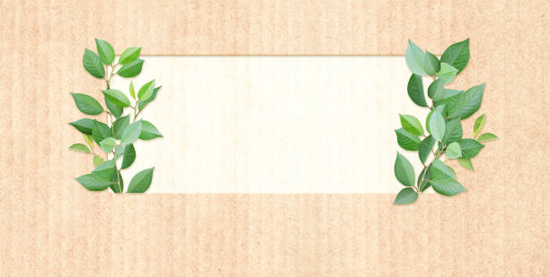 istock Green leaves on cardboard texture. Horizontal banner with eco paper texture 1346593945