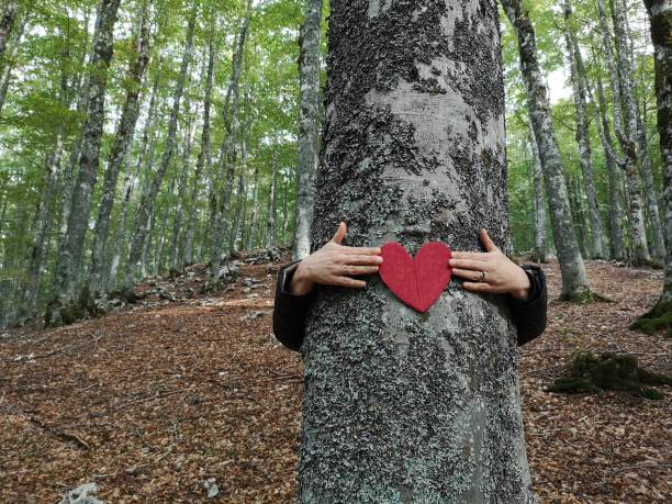 istock woman hugs tree with heart in hand 1346595502