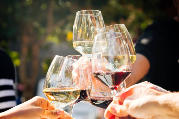 Group of people toasting with red and white wine outdoors - fotografia de stock