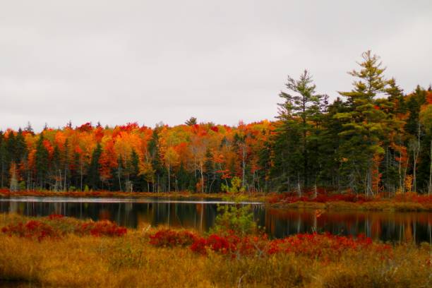 istock New England Autumn Color 1346595926