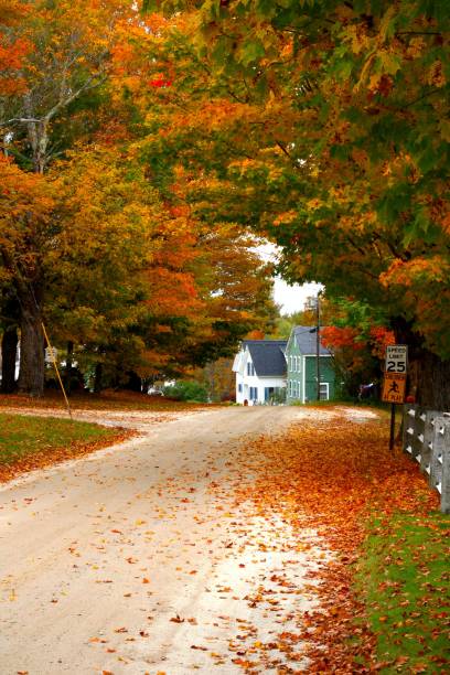 istock New England Autumn Color 1346595928