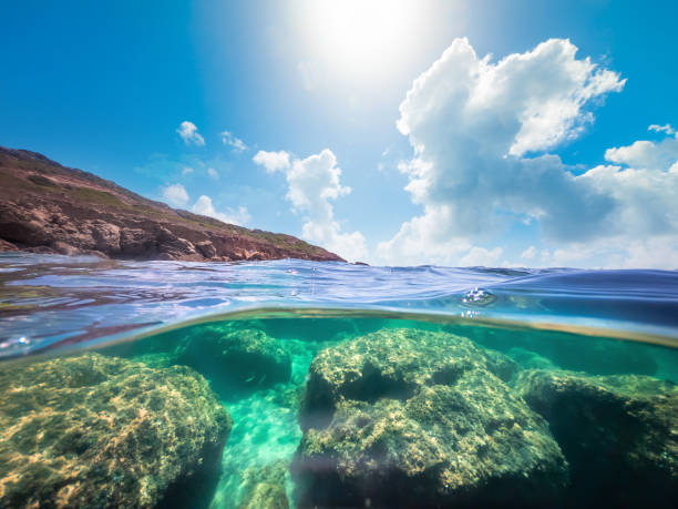 istock Split underwater view of rocks and sand in Alghero shoreline on a sunny day 1346595929