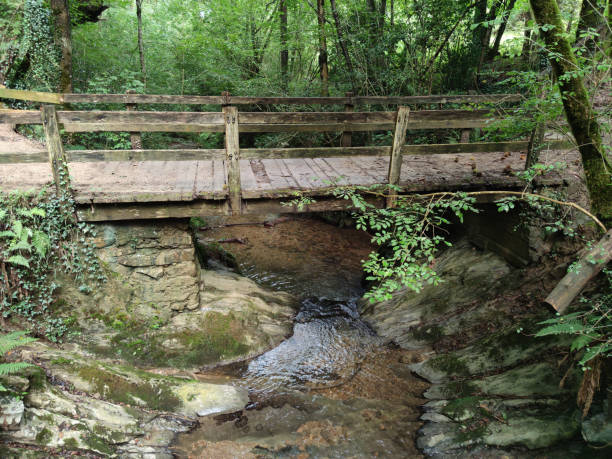 istock magic bridge over a river in a deciduous forest near to the cave Zugarramurdi, Navarre, Spain 1346596260