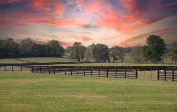 istock Kentucky farming life 1346596478