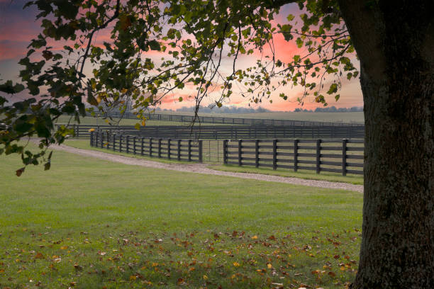 istock Kentucky farming life 1346597092