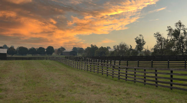 istock Kentucky farming life 1346597161