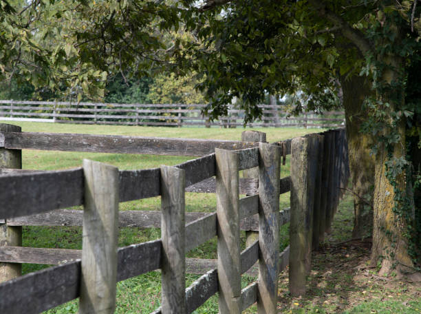 istock Kentucky farming life 1346597639