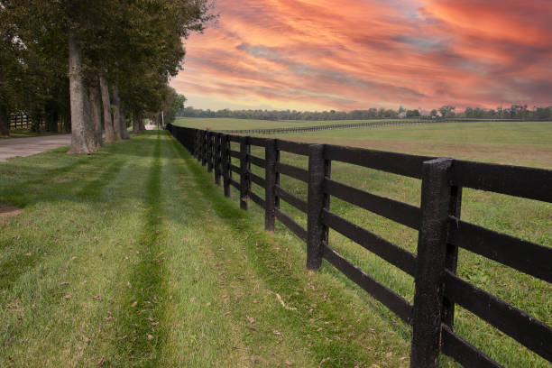 istock Kentucky farming life 1346597723