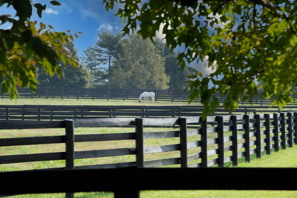 istock Kentucky farming life 1346598812