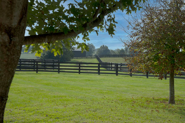 istock Kentucky farming life 1346598879