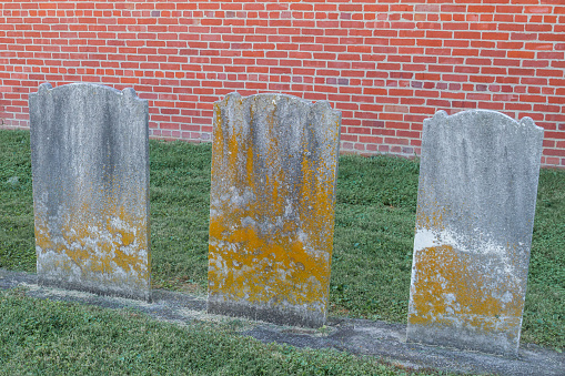 Old Tombstone's